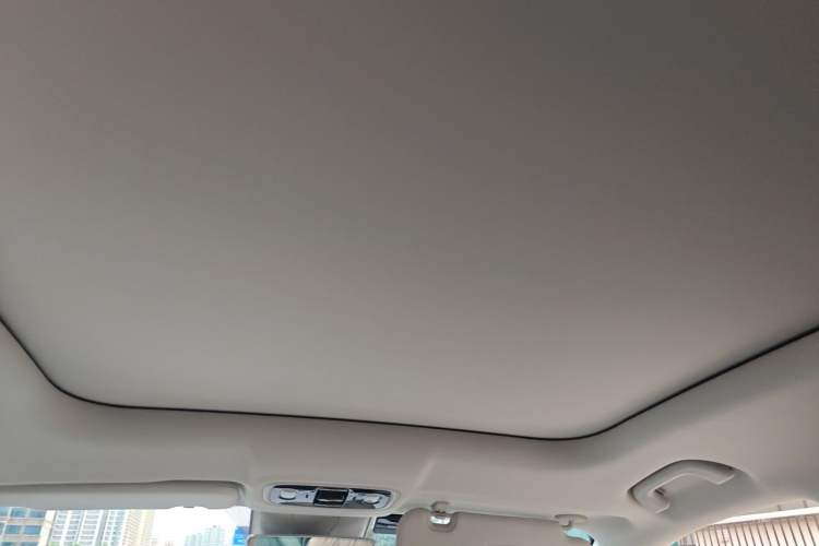 Used Leapmotor C11 2023 Pure Electric 500 Comfort Edition Headliner