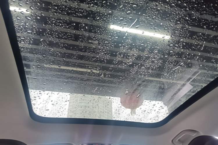 Used Leapmotor C11 2023 Pure Electric 500 Comfort Edition Headliner