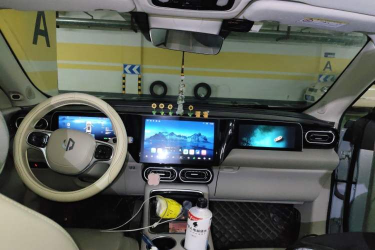 Used Leapmotor C11 2023 Pure Electric 500 Comfort Edition Headliner