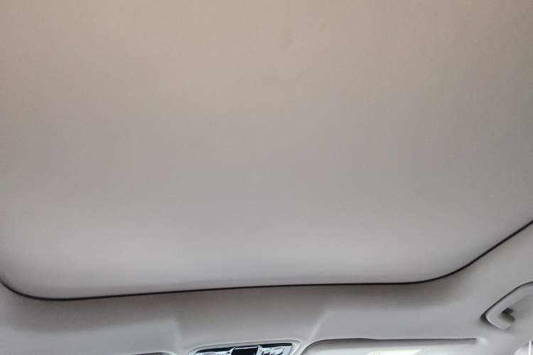 Used Leapmotor C11 2023 Pure Electric 500 Comfort Edition Headliner