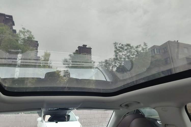 Used Leapmotor C11 2023 Range-Extended 180 Comfort Edition Headliner