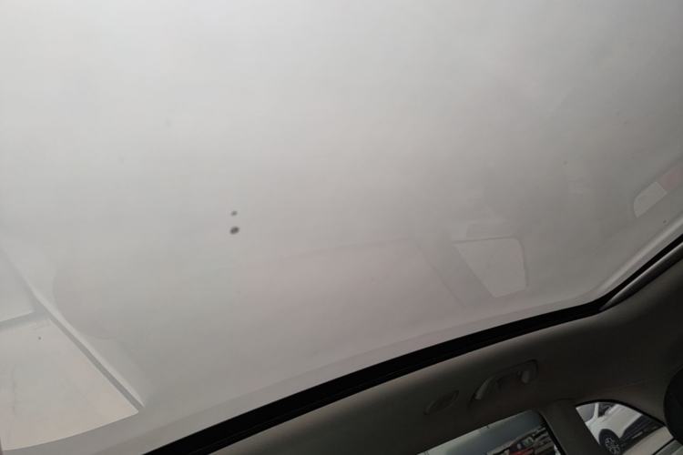 Used Leapmotor C11 2023 Pure Electric 500 Smart Edition Headliner