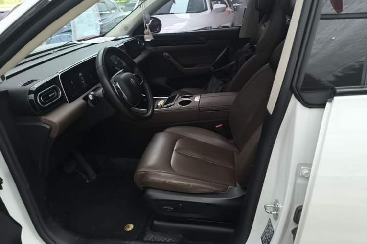 Used Leapmotor C11 2023 Pure Electric 500 Comfort Edition Left Front Seat