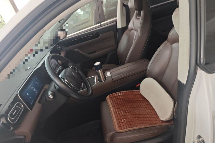 Used Leapmotor C11 2023 Pure Electric 500 Comfort Edition Left Front Seat