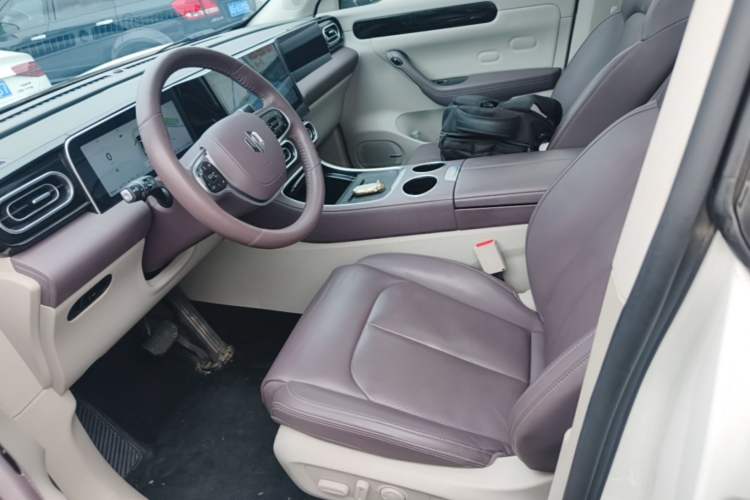 Used Leapmotor C11 2023 Range-Extended 180 Comfort Edition Left Front Seat