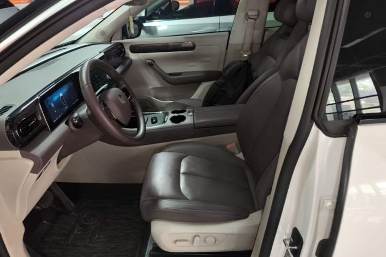 Used Leapmotor C11 2023 Range-Extended 285 Smart Enjoyment Edition Left Front Seat