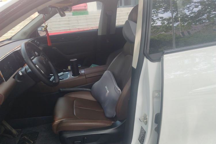 Used Leapmotor C11 2023 Pure Electric 500 Comfort Edition Left Front Seat
