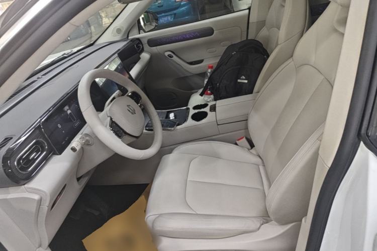 Used Leapmotor C11 2023 Pure Electric 500 Smart Edition Left Front Seat