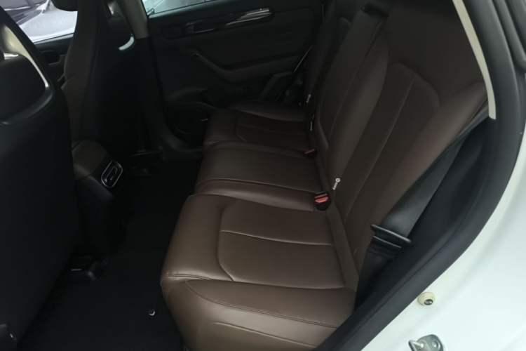 Used Leapmotor C11 2023 Pure Electric 500 Comfort Edition Left Rear Seat