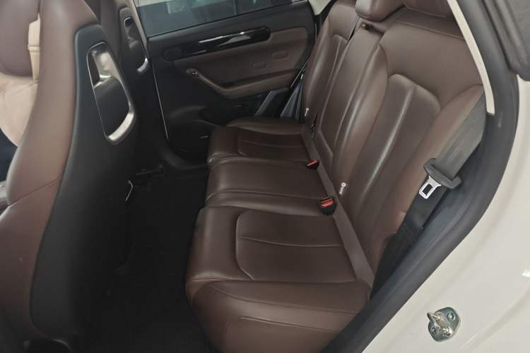 Used Leapmotor C11 2023 Pure Electric 500 Comfort Edition Left Rear Seat