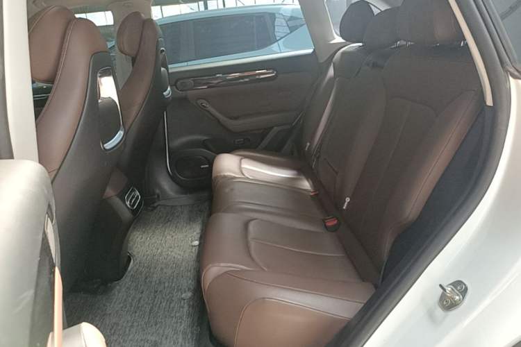 Used Leapmotor C11 2023 Pure Electric 500 Comfort Edition Left Rear Seat
