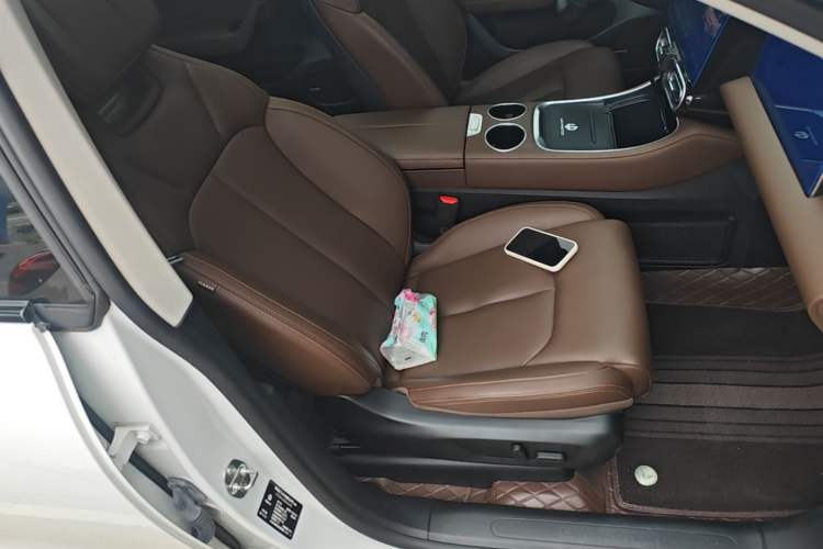 Used Leapmotor C11 2023 Range-Extended 200 Comfort Edition Right Front Seat