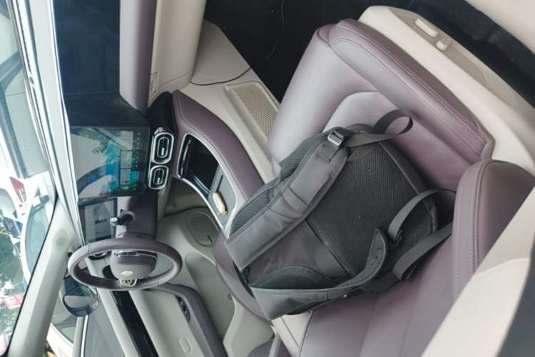 Used Leapmotor C11 2023 Range-Extended 180 Comfort Edition Right Front Seat