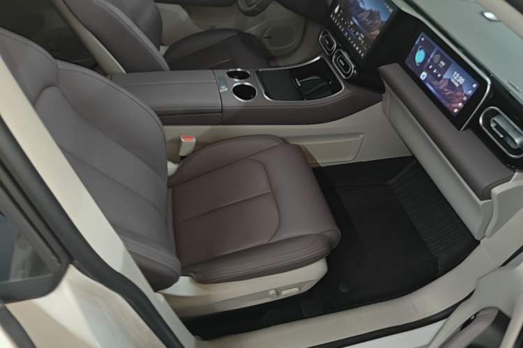 Used Leapmotor C11 2023 Range-Extended 200 Comfort Edition Right Front Seat