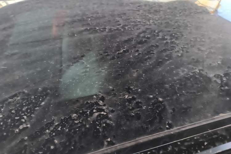 Used Leapmotor C11 2023 Pure Electric 500 Smart Edition Roof