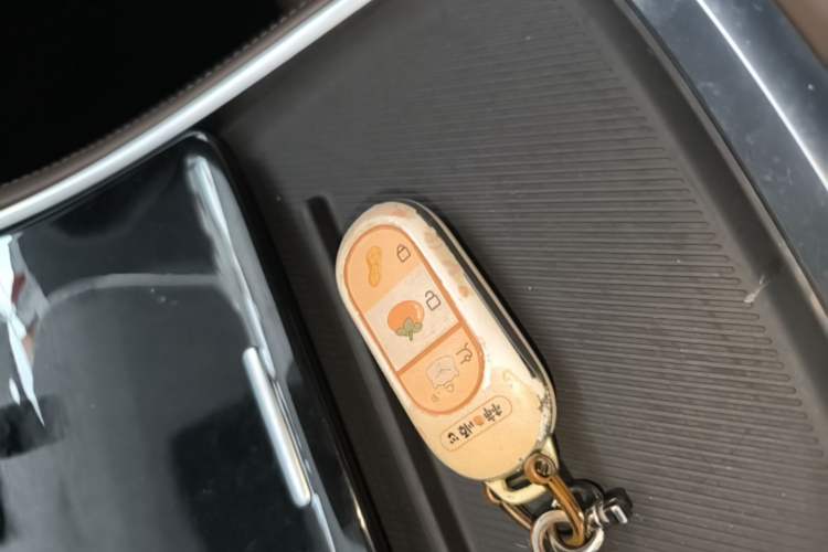Used Leapmotor C11 2023 Pure Electric 500 Comfort Edition Vehicle Key