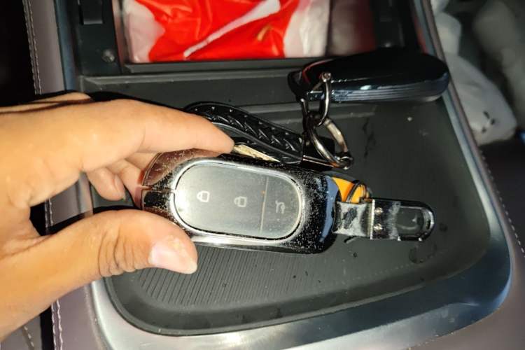 Used Leapmotor C11 2023 Range-Extended 200 Comfort Edition Vehicle Key