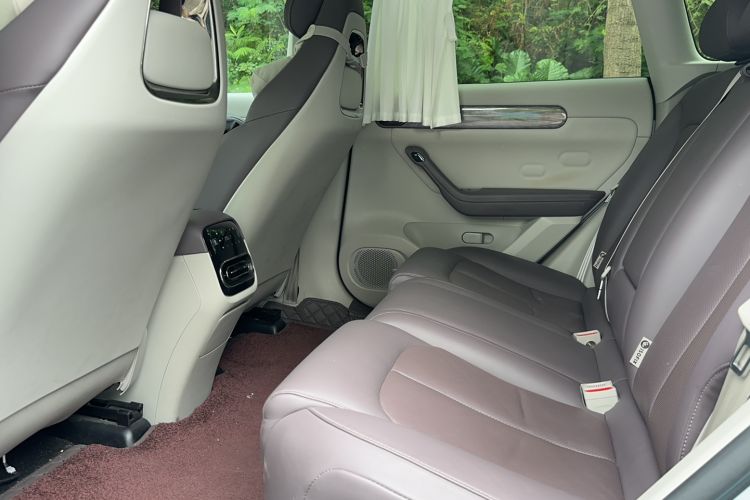 Used Leapmotor C11 2023 Range-Extended 300 Smart Enjoyment Edition Interior 4