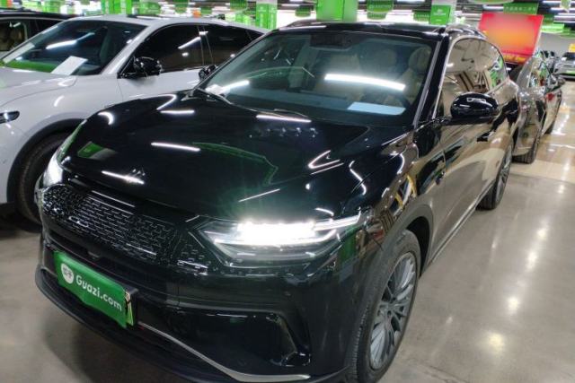 Used Leapmotor C11 2024 Range-Extended 300 Luxury Edition