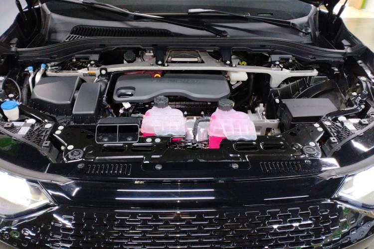 Used Leapmotor C11 2024 Range-Extended 300 Luxury Edition Engine Bay