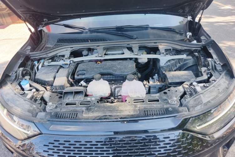 Used Leapmotor C11 2024 Range-Extended 300 Luxury Edition Engine Bay