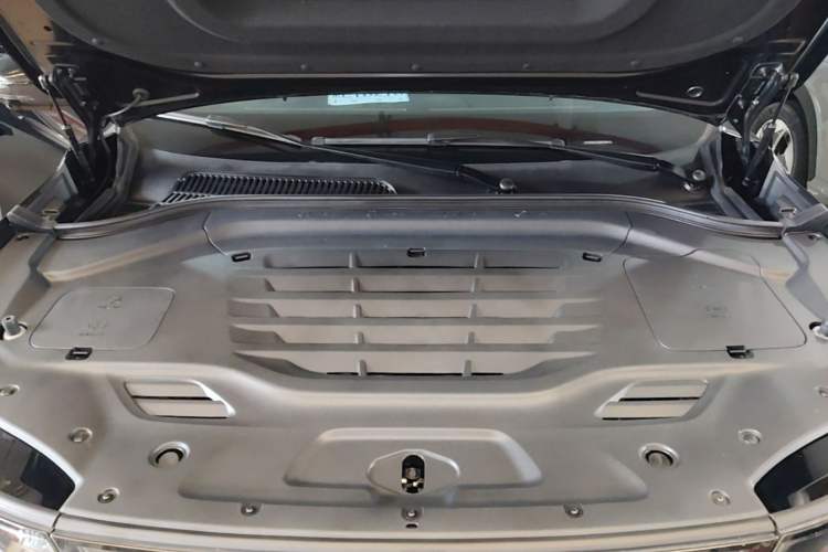 Used Leapmotor C11 2024 All-Electric 580 Luxury Edition Engine Bay