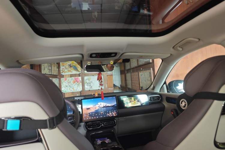 Used Leapmotor C11 2024 All-Electric 580 Luxury Edition Headliner