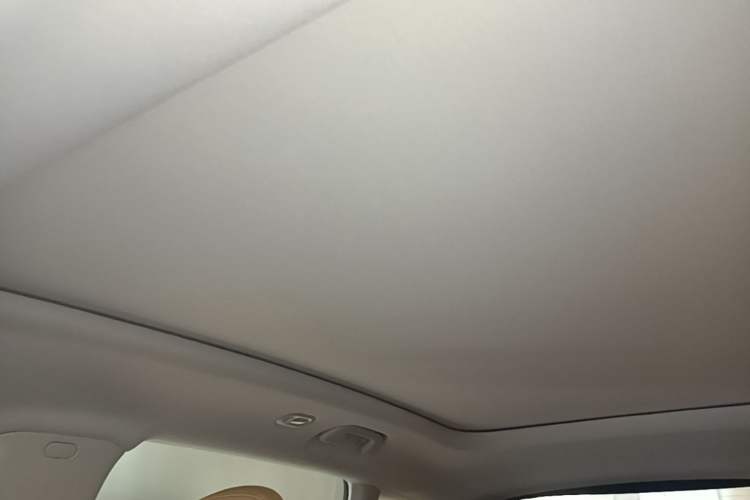 Used Leapmotor C11 2024 Pure Electric 515 Smart Edition Headliner