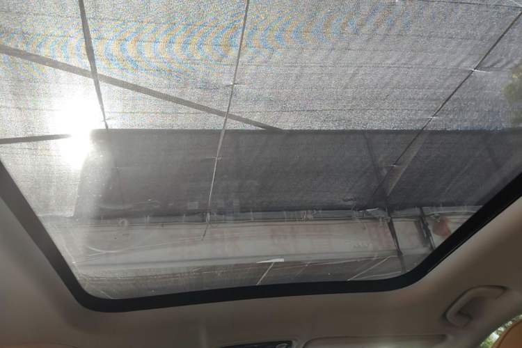 Used Leapmotor C11 2024 All-Electric 580 Luxury Edition Headliner