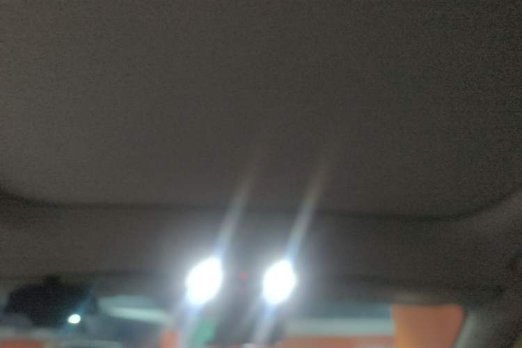 Used Leapmotor C11 2024 All-Electric 580 Luxury Edition Headliner