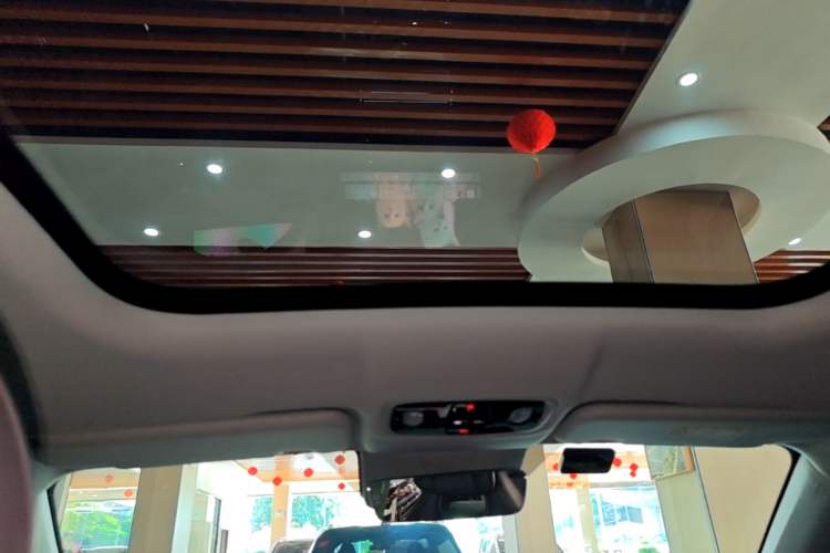 Used Leapmotor C11 2024 Range-Extended 300 Luxury Edition Headliner