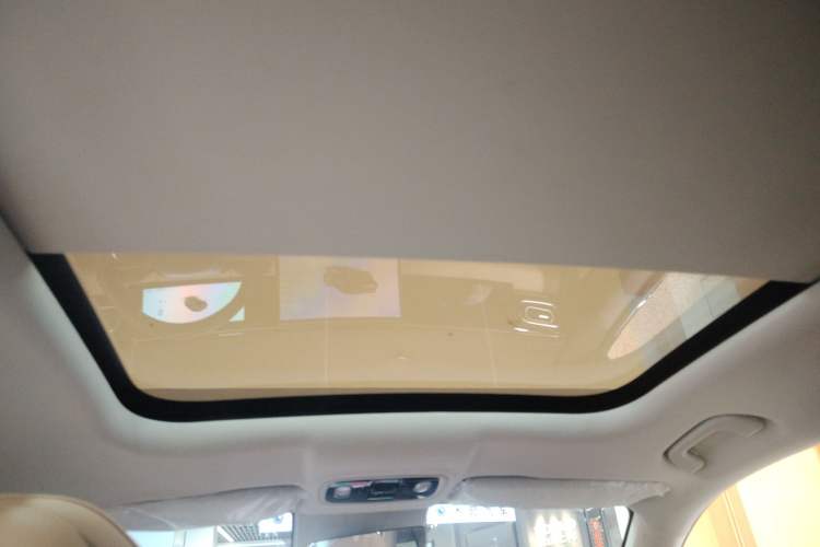 Used Leapmotor C11 2024 Pure Electric 515 Smart Drive Edition Headliner