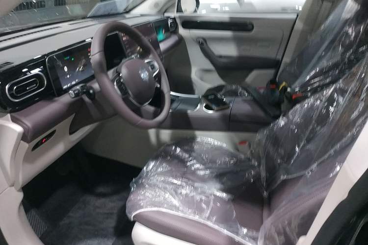 Used Leapmotor C11 2024 Range-Extended 300 Smart Enjoyment Edition Left Front Seat