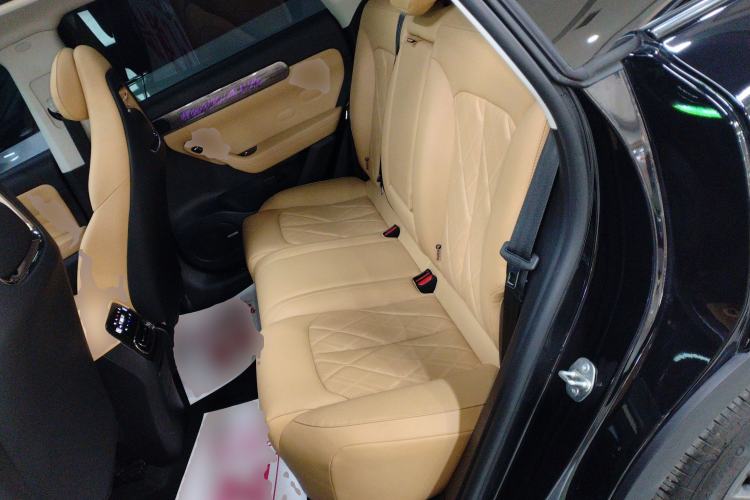 Used Leapmotor C11 2024 Range-Extended 300 Luxury Edition Left Rear Seat