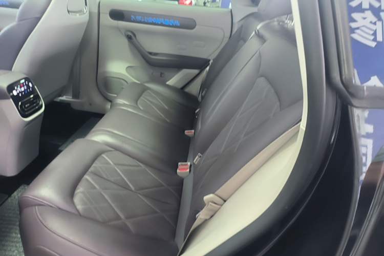 Used Leapmotor C11 2024 All-Electric 580 Luxury Edition Left Rear Seat