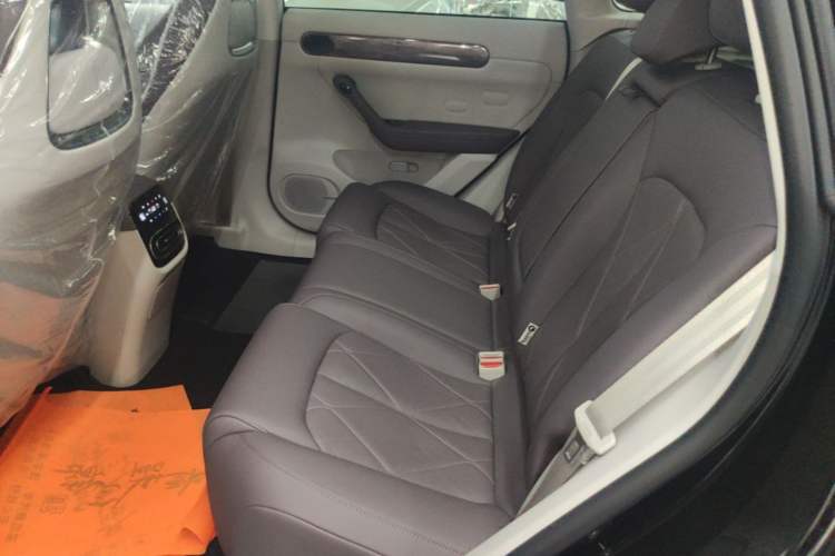 Used Leapmotor C11 2024 Range-Extended 300 Luxury Edition Left Rear Seat