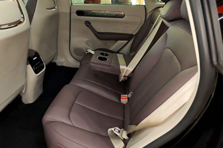 Used Leapmotor C11 2024 Range-Extended 300 Luxury Edition Left Rear Seat