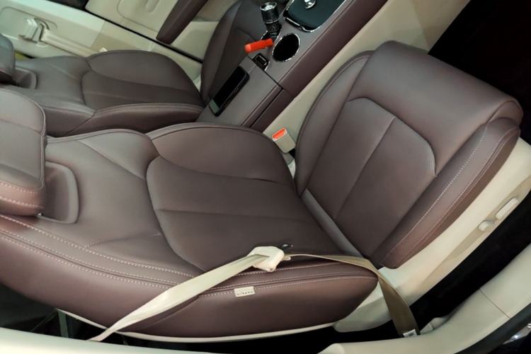 Used Leapmotor C11 2024 Range-Extended 300 Luxury Edition Right Front Seat