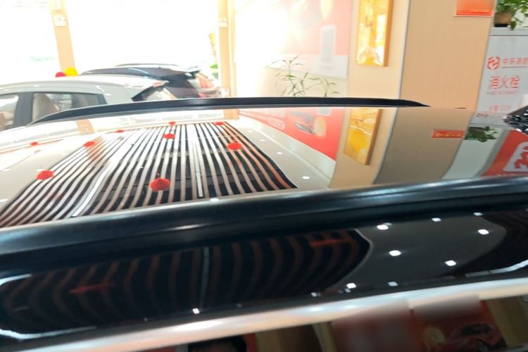 Used Leapmotor C11 2024 Range-Extended 300 Luxury Edition Roof