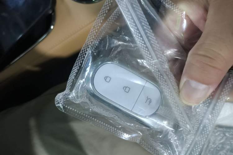 Used Leapmotor C11 2024 Range-Extended 300 Luxury Edition Vehicle Key