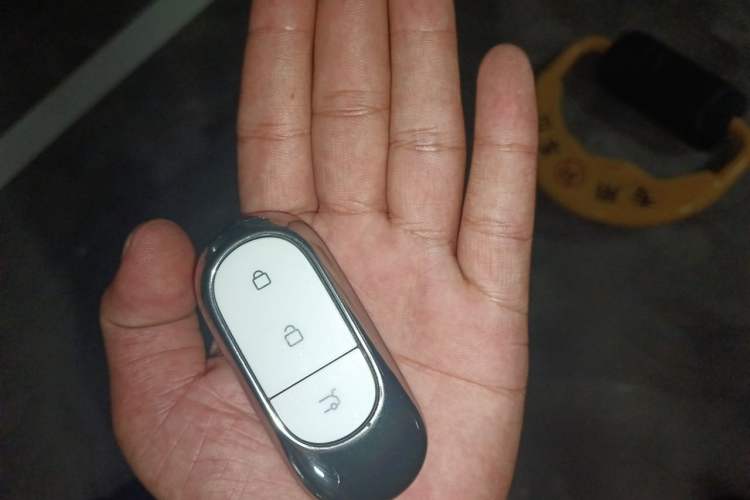 Used Leapmotor C11 2024 Range-Extended 300 Luxury Edition Vehicle Key