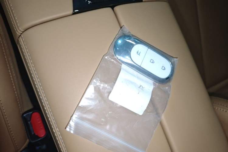 Used Leapmotor C11 2024 All-Electric 580 Luxury Edition Vehicle Key