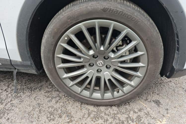 Used Leapmotor C11 2024 Range-Extended 300 Luxury Edition Exterior 1