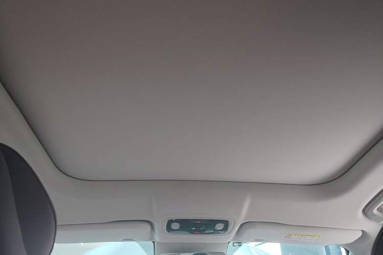 Used Leapmotor C11 2024 Range-Extended 300 Luxury Edition Headliner