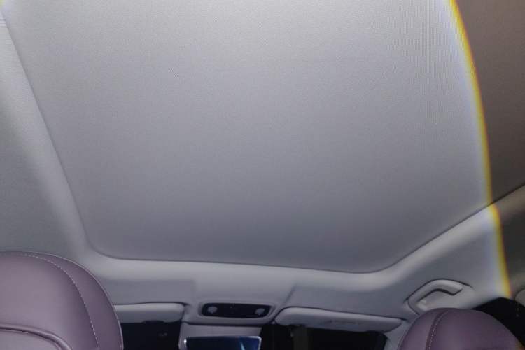 Used Leapmotor C11 2024 All-Electric 580 Luxury Edition Headliner