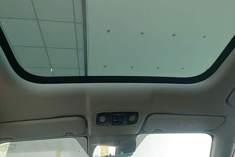Used Leapmotor C11 2024 Range-Extended 300 Luxury Edition Headliner