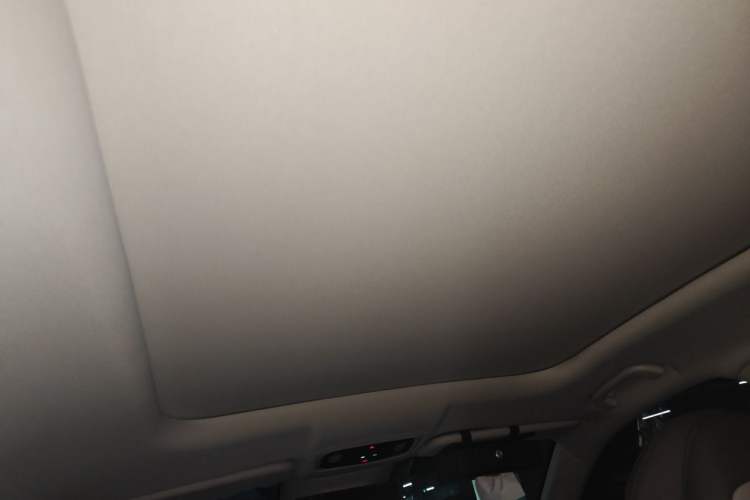 Used Leapmotor C11 2024 Range-Extended 300 Luxury Edition Headliner