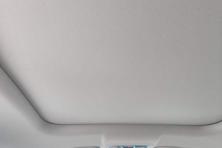 Used Leapmotor C11 2024 All-Electric 580 Luxury Edition Headliner