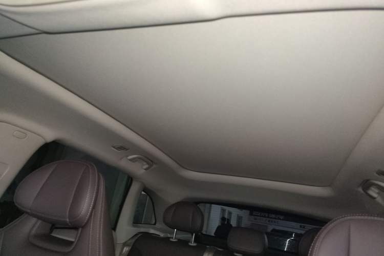 Used Leapmotor C11 2024 All-Electric 580 Luxury Edition Headliner
