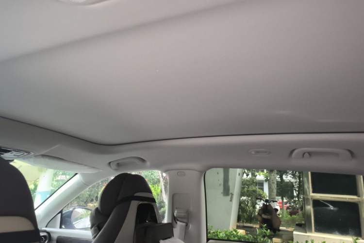 Used Leapmotor C11 2024 Range-Extended 300 Luxury Edition Headliner